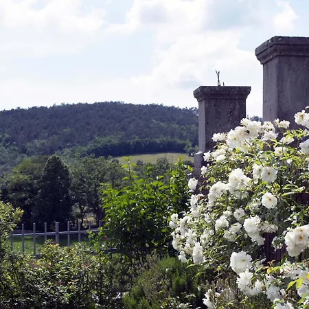 Apartman Apartmaji Znidarcic Divaca