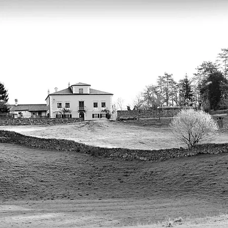 Apartmaji Znidarcic * Divača