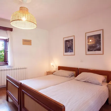 Apartmaji Znidarcic شقة *