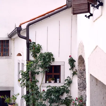Apartmaji Znidarcic *