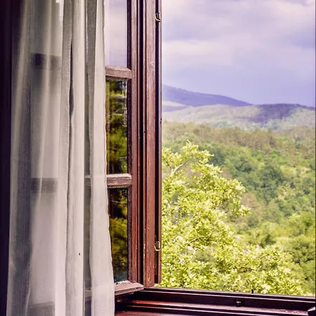 Apartmaji Znidarcic Divaca