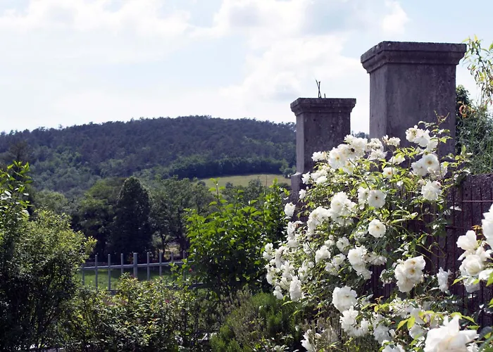 Apartment Apartmaji Znidarcic Divaca