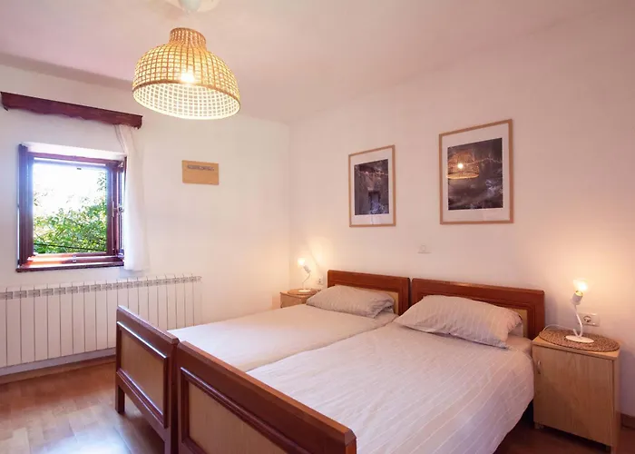 Apartmaji Znidarcic 아파트 *