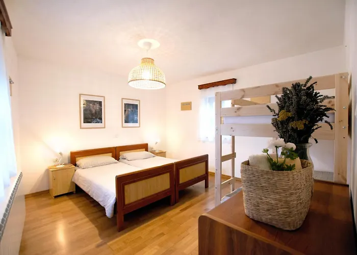 Apartmaji Znidarcic Apartment Divaca