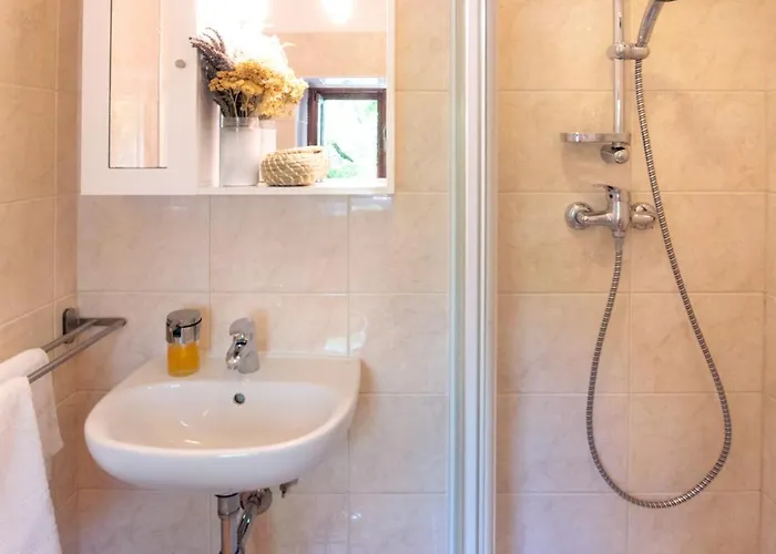 Apartment Apartmaji Znidarcic Divaca