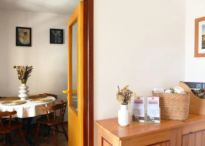 Apartmaji Znidarcic 아파트 Divača