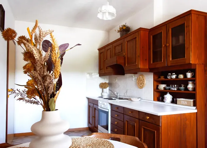 Apartmaji Znidarcic 아파트 Divača