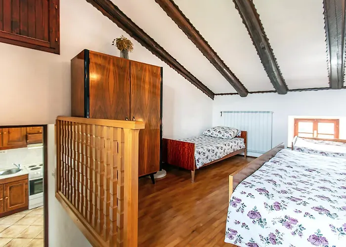 Apartmaji Znidarcic